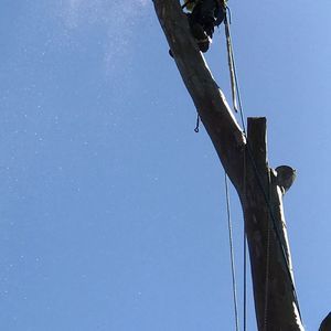 Meet your Posher, Martin